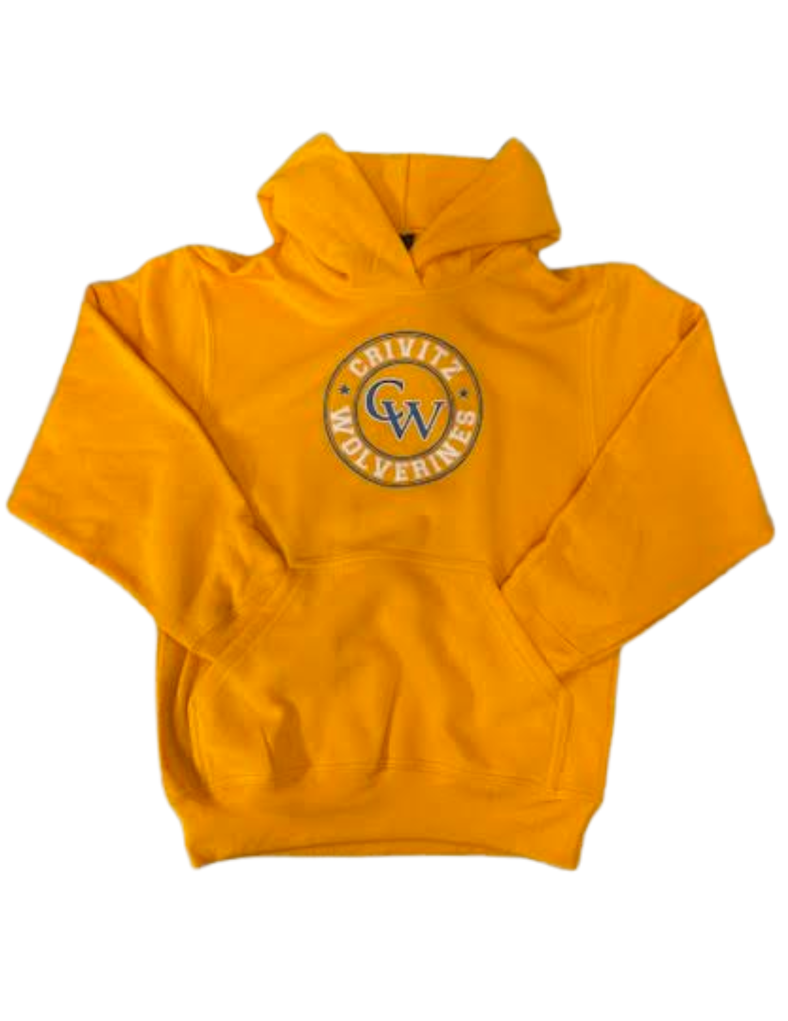 Youth Hoodie - Gold